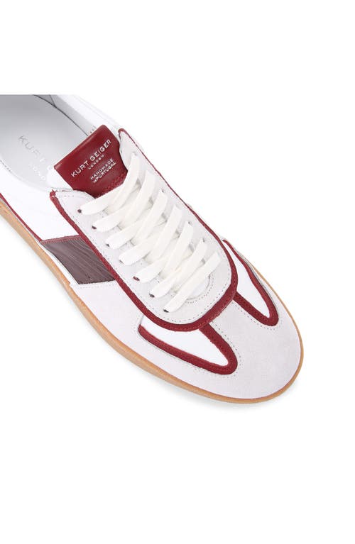 Shop Kurt Geiger London Lloyd Sneaker In Open White