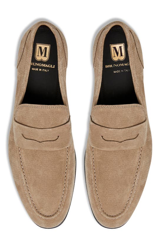Shop Bruno Magli Lauro Penny Loafer In Taupe Suede
