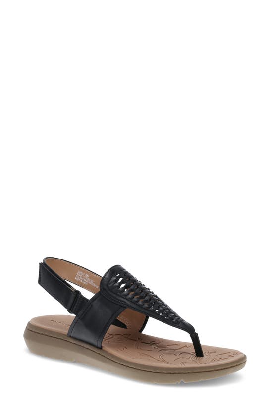 Shop Baretraps Quincy T-strap Sandal In Black