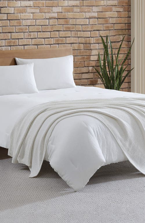 French Connection Eloise Chenille Throw Blanket In White