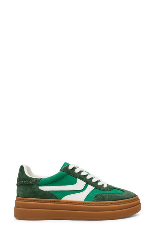 Shop Steve Madden Dodge Platform Sneaker In Green Multi