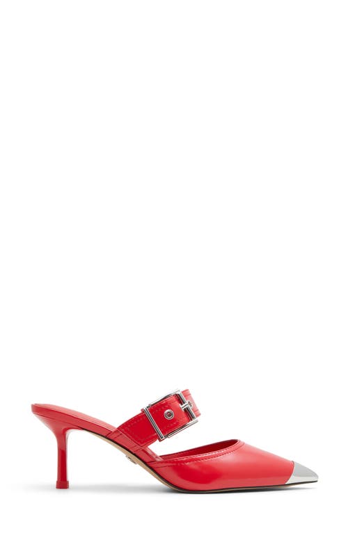 Shop Aldo Gretla Pointed Cap Toe Mule In Red