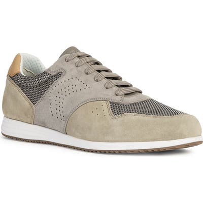 Geox Arsien 1 Sneaker, Grey