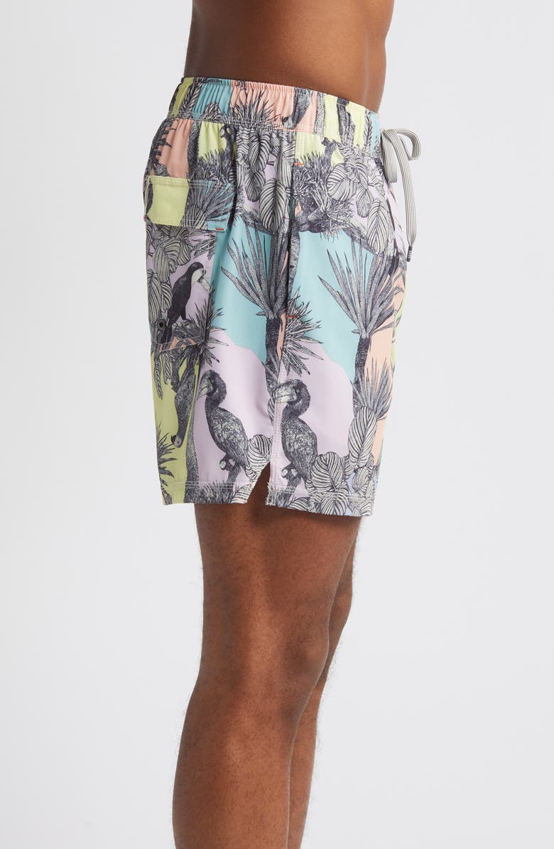 SAXX Oh Buoy Stripe 2-in-1 Hybrid Shorts, Alternate, color,