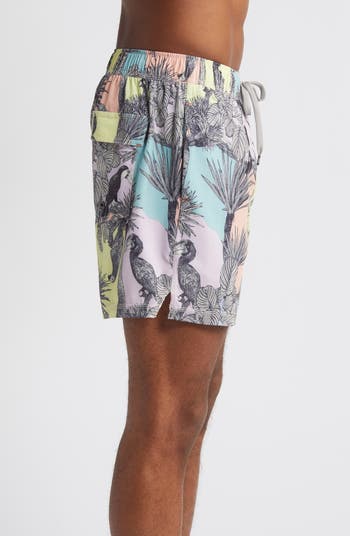 Oh Buoy Stripe 2-in-1 Hybrid Shorts