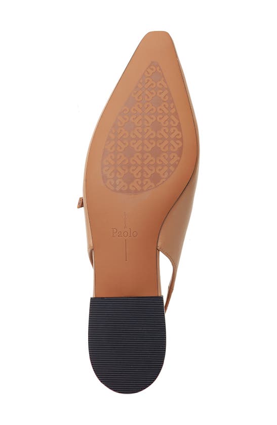Shop Linea Paolo Celeste Slingback Pointed Toe Flat In Desert