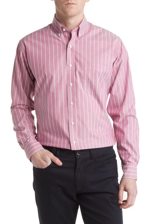 Howard Supima Cotton Blend Oxford Button-Down Shirt in Wine Big Sky Stripe
