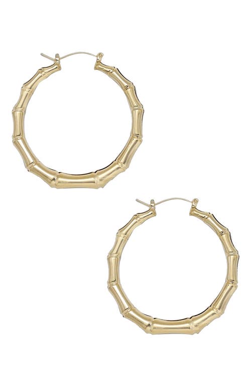 Ettika Bamboo Hoop Earrings in Gold at Nordstrom