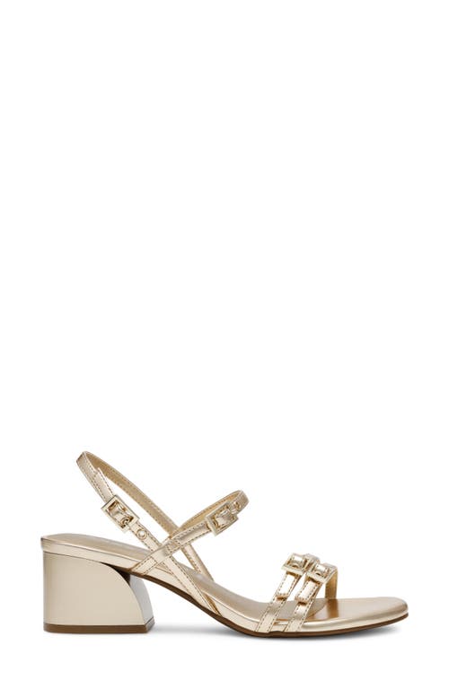 Anne Klein Women's Mackenzie Strappy Buckle Block Heel Dress Sandals In Light Gold Smooth
