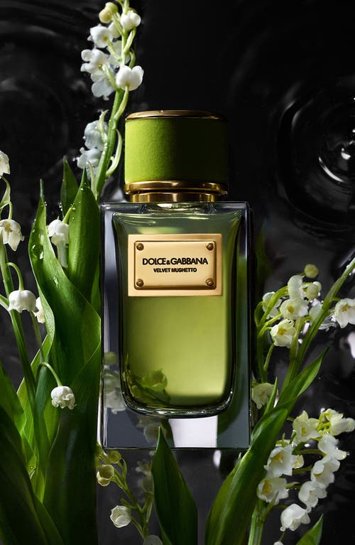 Dolce & Gabbana Velvet Mughetto Eau De Parfum 100ml In No Color