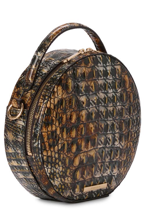 Shop Brahmin Lane Croc Embossed Leather Crossbody Bag In Untamed