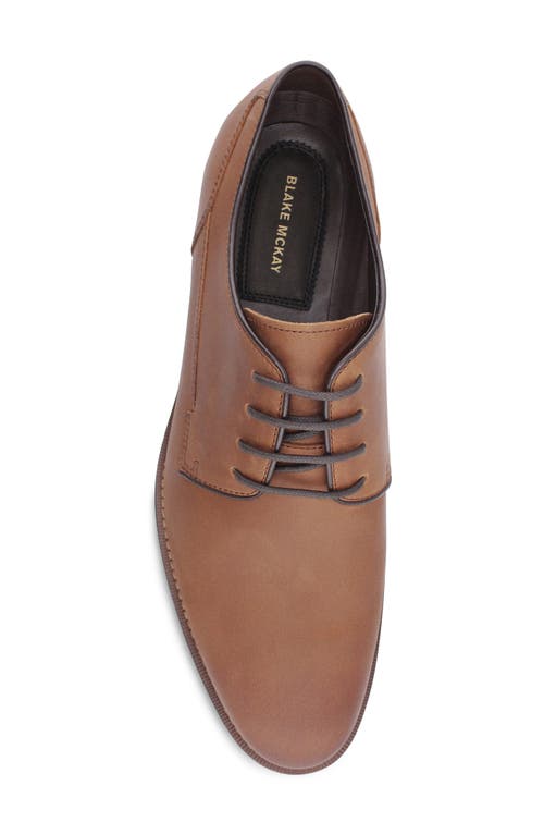 Blake Mckay Hudson Oxford In Tan