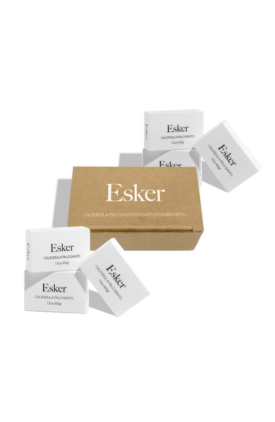 Shop Esker Aromatic Shower Steamer Refills
