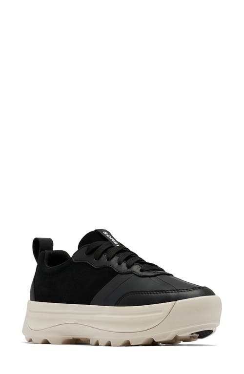 Shop Sorel Ona 503 Low Top Platform Sneaker In Black/chalk