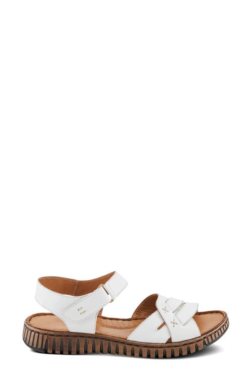 Shop Spring Step Nochella Ankle Strap Sandal In White