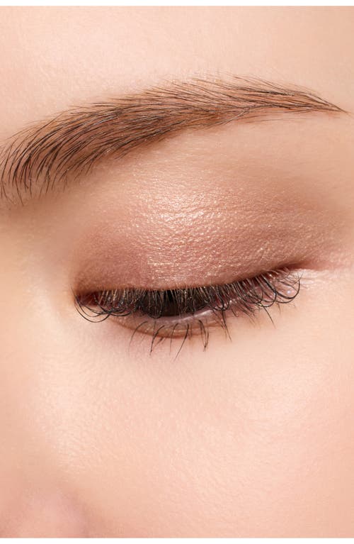 Dear Dahlia The Perfect Designing Shadow Stick Eyeshadow In Maple Brown