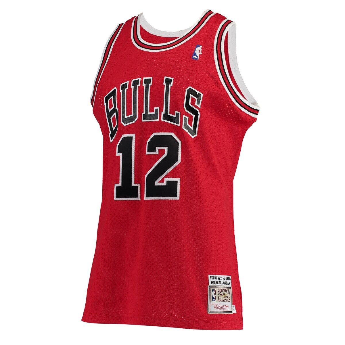 jordan 12 jersey