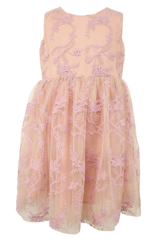 Popatu Kids' Embroidered Overlay Tulle Dress Blush at Nordstrom,