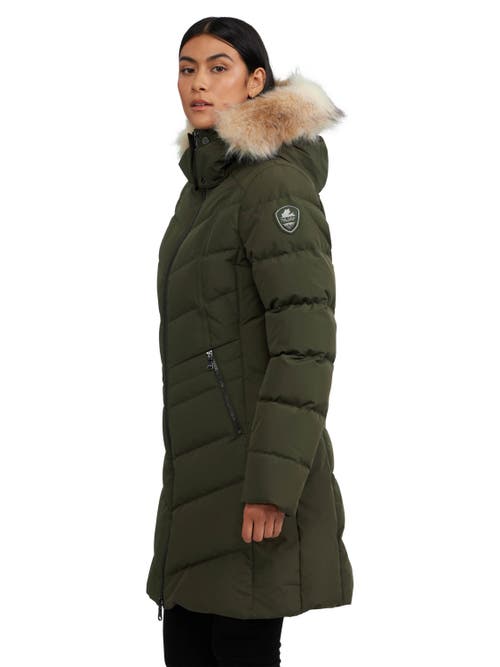 Pajar Women's January Down Chevron Puffer With Detachable Hood Fur In Military/crystal