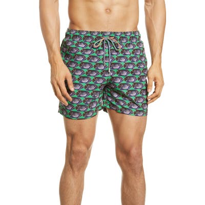 Bugatchi Fish Print Swim Trunks, Green