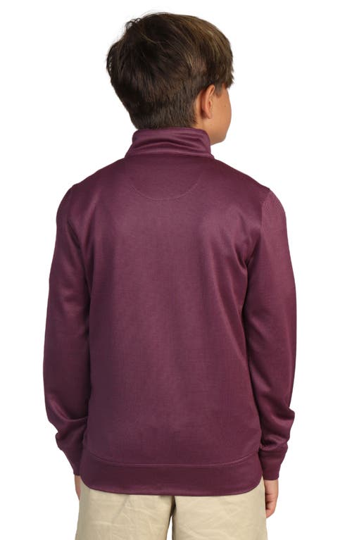 Tailorbyrd Kids' Quarter Zip Pullover In Purple