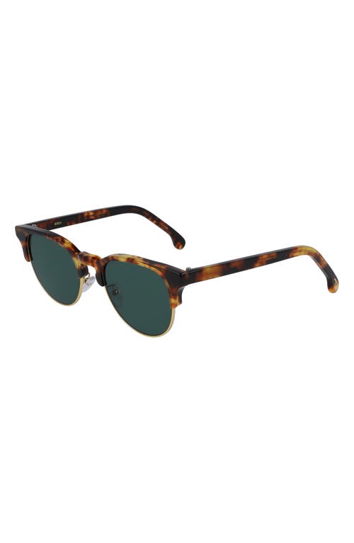 Paul Smith Birch 51mm Round Sunglasses in Honeycomb Tort at Nordstrom