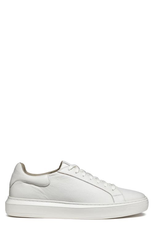 Shop Geox Deiven Sneaker In White