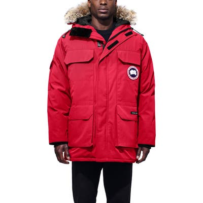 Canada Goose Pbi Expedition Regular Fit Down Parka With Genuine Coyote Fur Trim, Red