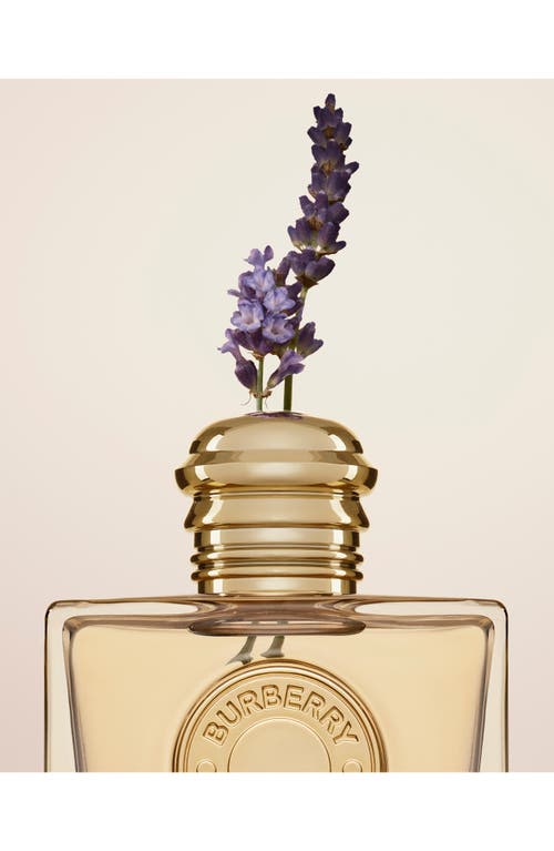 The 14 Best Vanilla Perfumes of 2024