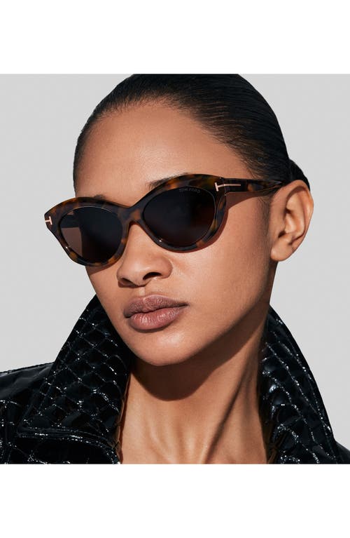 Shop Tom Ford Toni 55mm Oval Sunglasses In Shiny Dark Havana/brown