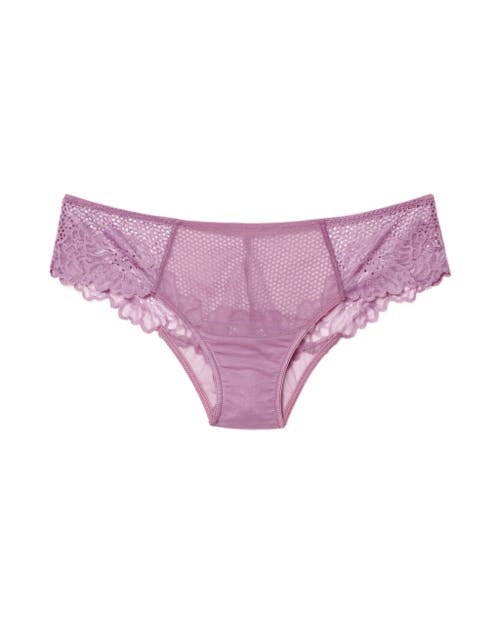 Shop Adore Me Marella Cheeky Panties In Dark Purple
