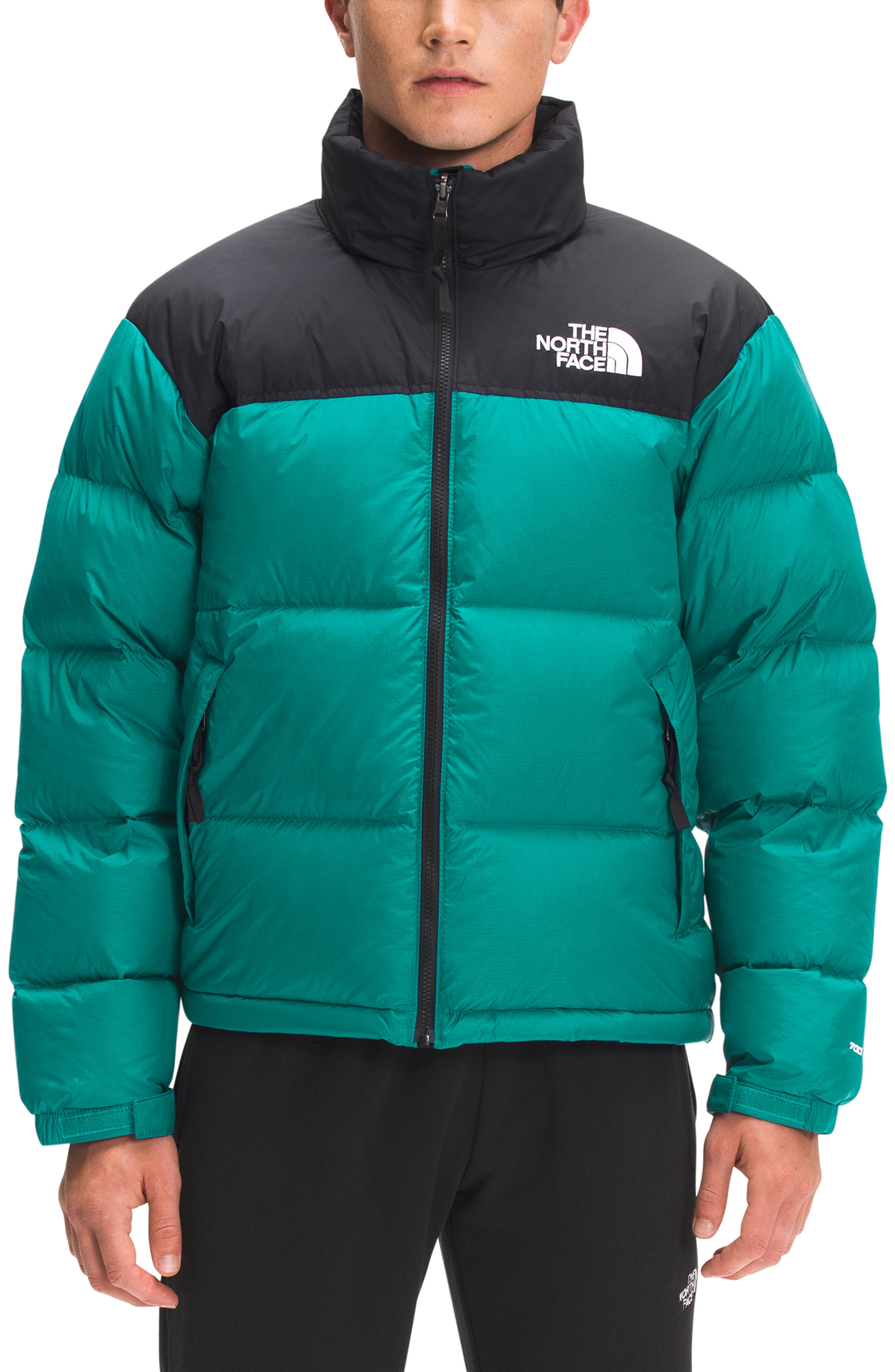 north face long down jacket men's