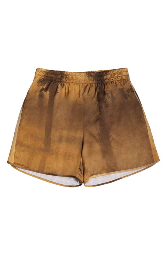 Blue Sky Inn Shorts In A/ O Print-brown