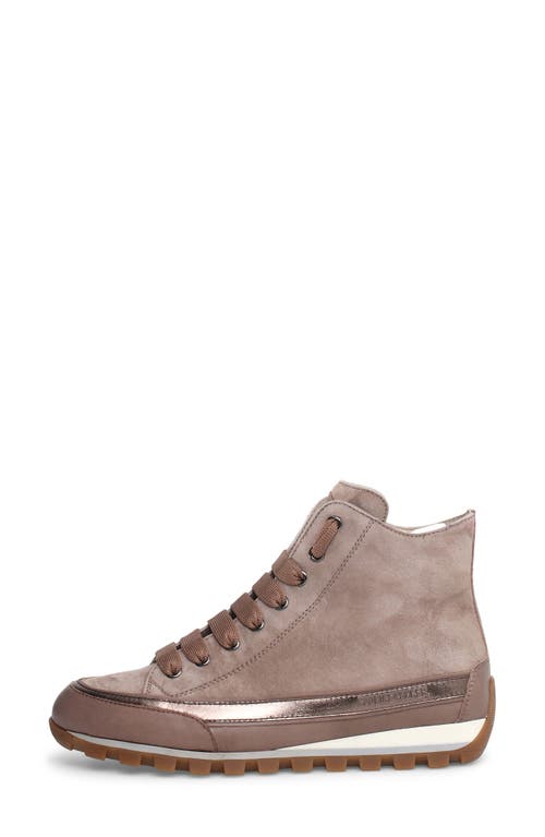 Candice Cooper Beige Nappa Leather High-top Sneaker In Taupe
