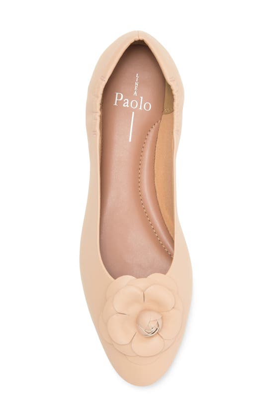 Shop Linea Paolo Nola Floral Ballet Flat In Blush Pink