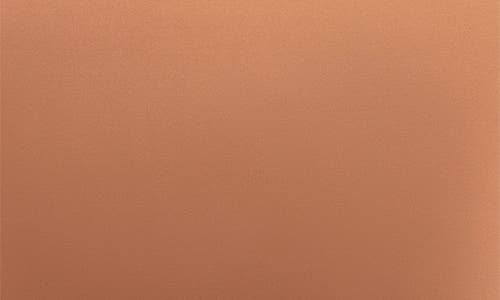 Blissy Mulberry Silk Pillowcase In Cinnamon