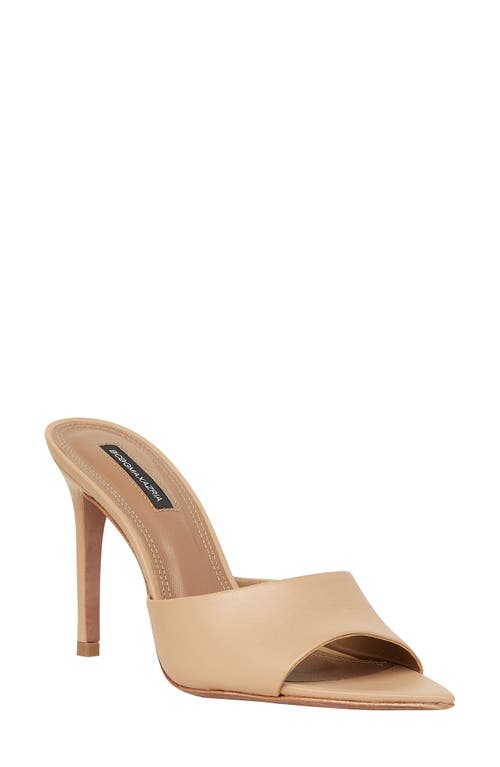 Dana Pointed Toe Sandal in New Nude