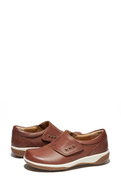 Halsa Footwear Hälsa Footwear Anna Sneaker In Dark Brown/light