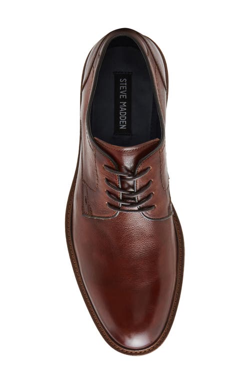 Steve Madden Hoxton Wingtip Derby In Cognac