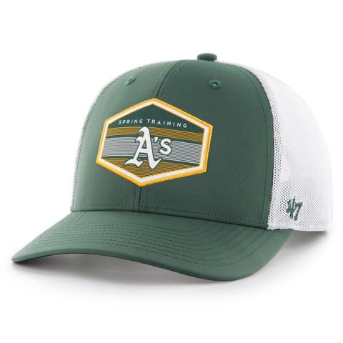 Thunder Buffalo Unstructured Snapback – Bison Union