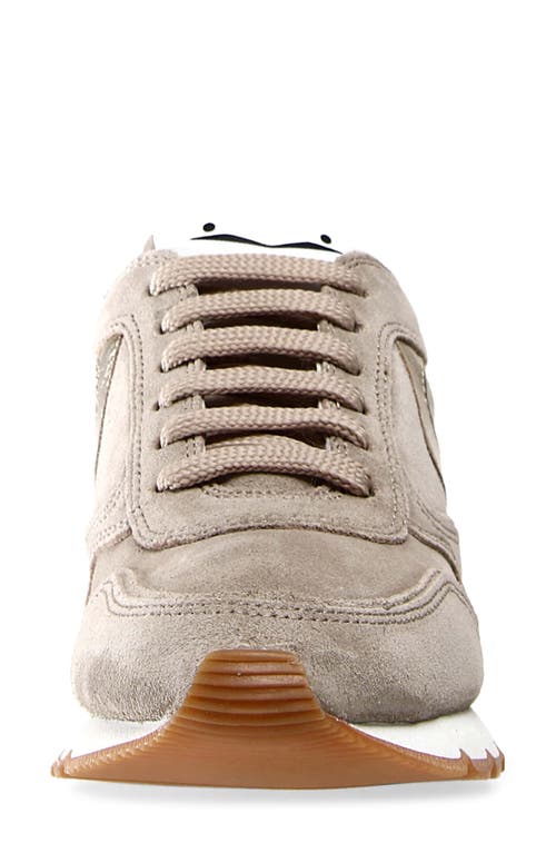 Shop Voile Blanche Julia Genuine Shearling Jogger Sneaker In Beige Platino