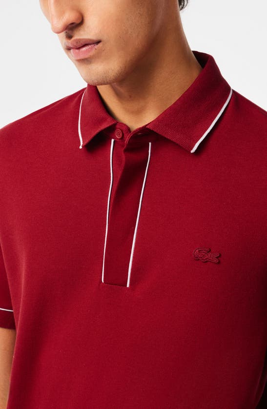 Lacoste Regular Fit Tipped Piqué Polo In Ixx Ora