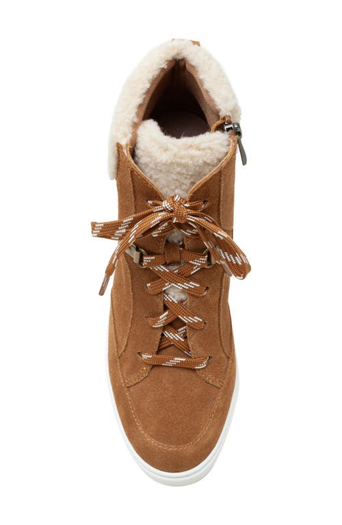 Linea Paolo Arden Wedge Sneaker In Nutmeg/ivory