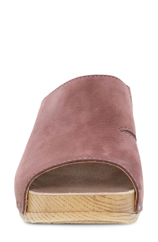 Shop Dansko Tandi Slide Sandal In Rose