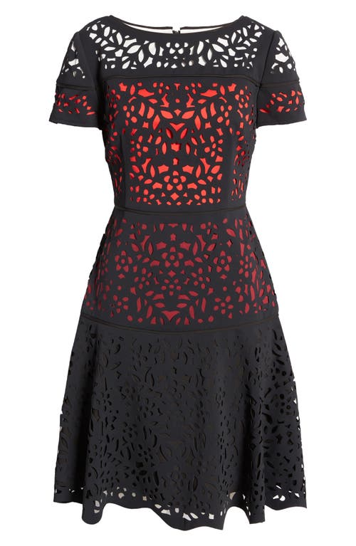 Shop Shani Ombré Lace Fit & Flare Dress In Black/red