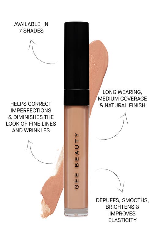 Shop Gee Beauty Brightening Concealer In 3