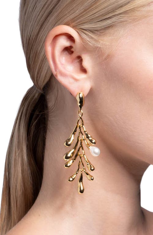 Shop Alexis Bittar Perla Drop Earrings In Stones