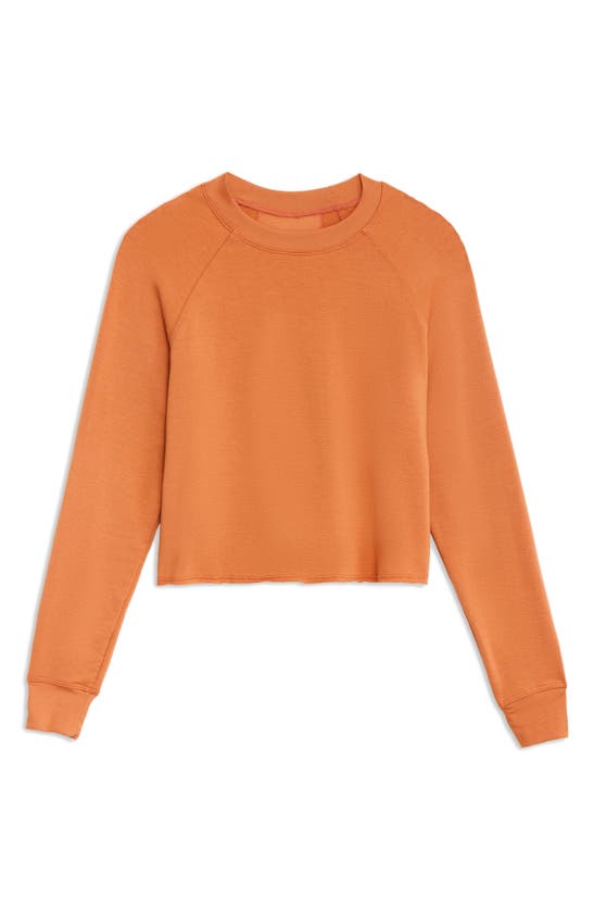 Shop Splits59 Fleece Crop Sweatshirt In Pecan