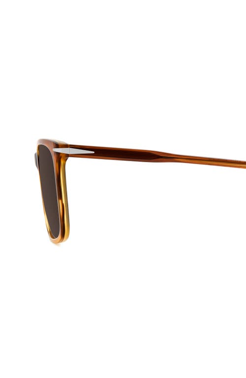 David Beckham Eyewear 58mm Rectangular Sunglasses In Brown Horn/brown