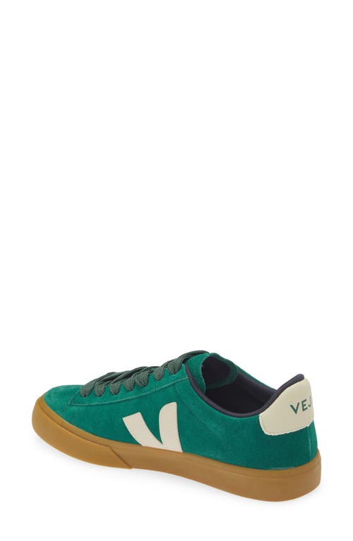 Shop Veja Campo Sneaker In Golf Pierre